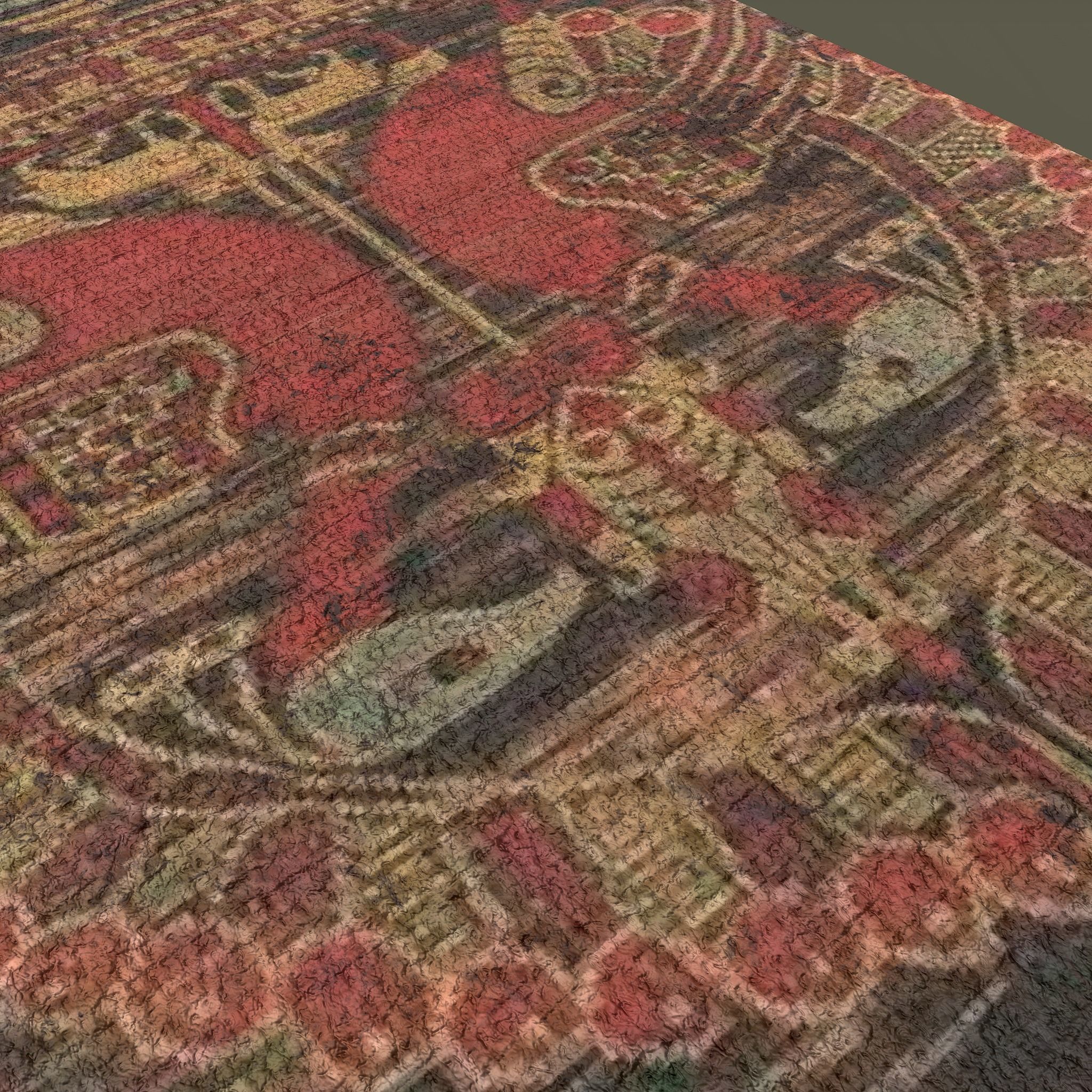 Ancient Bird Carpet Low-poly 3D model_16