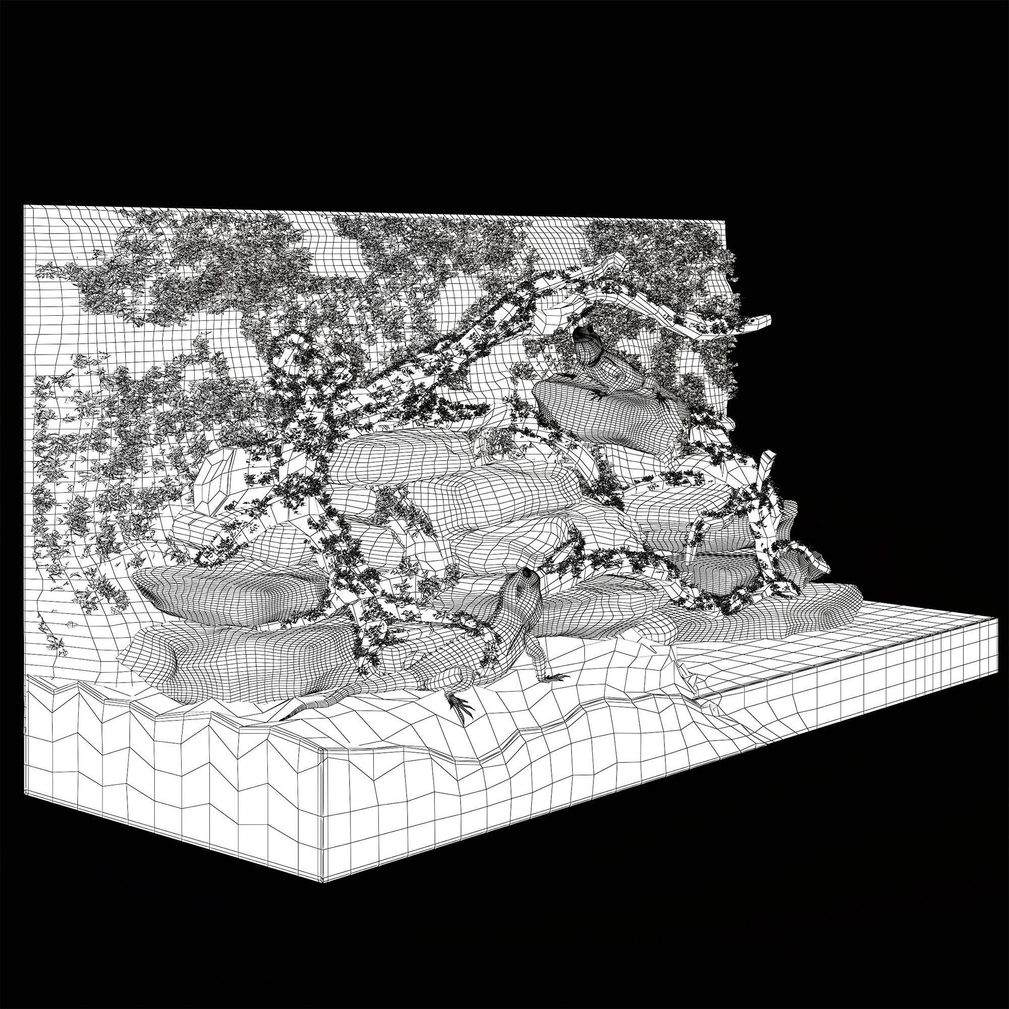 Terrarium Agama 3D model_12