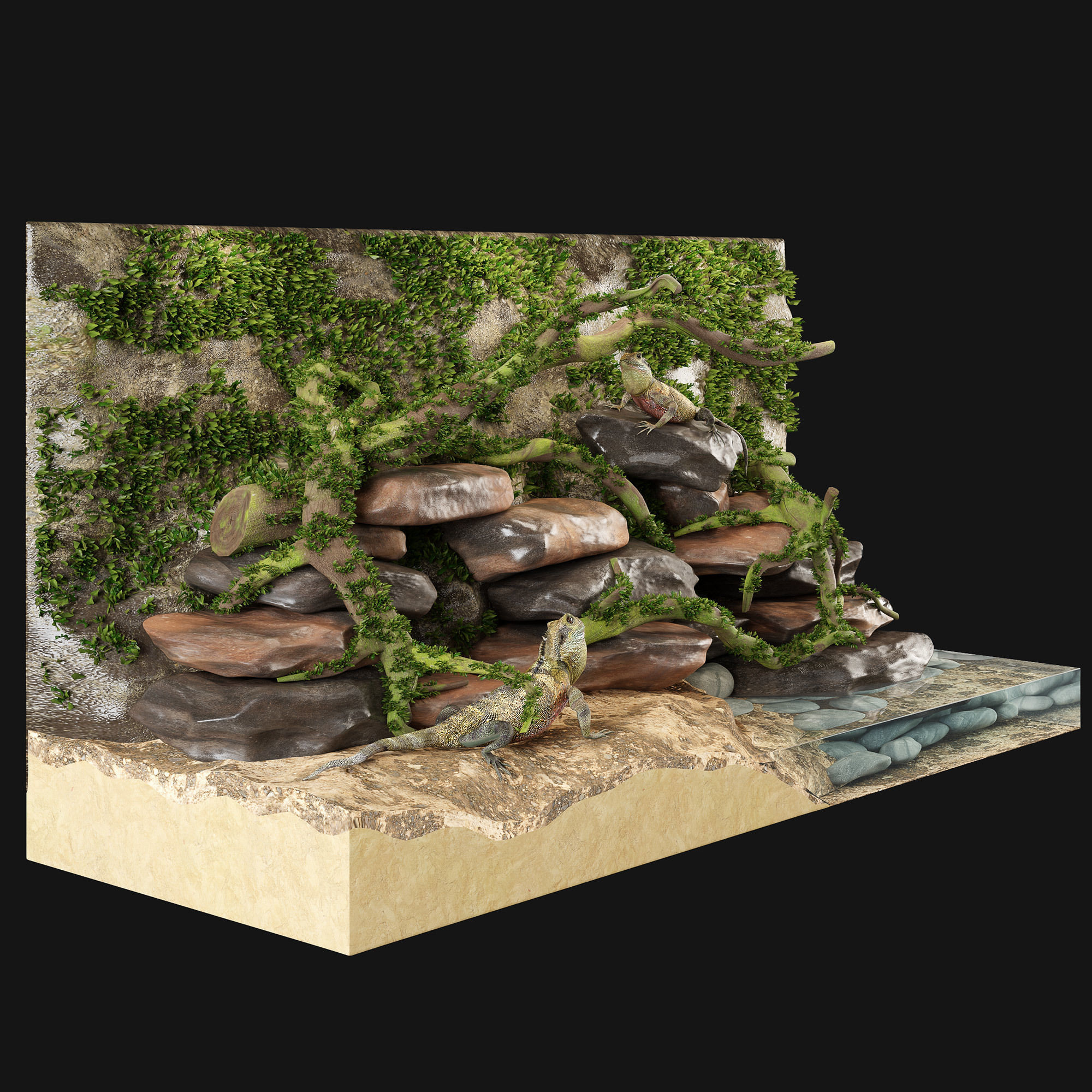 Terrarium Agama 3D model_5