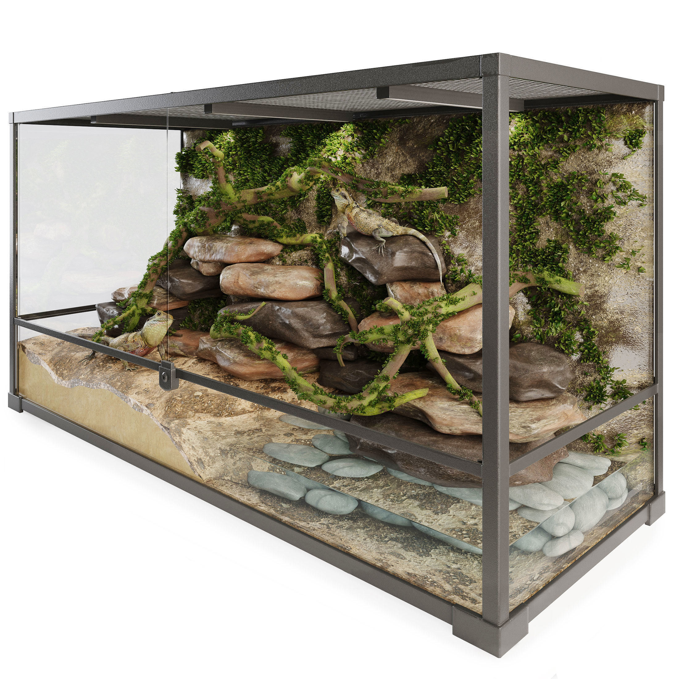 Terrarium Agama 3D model_2