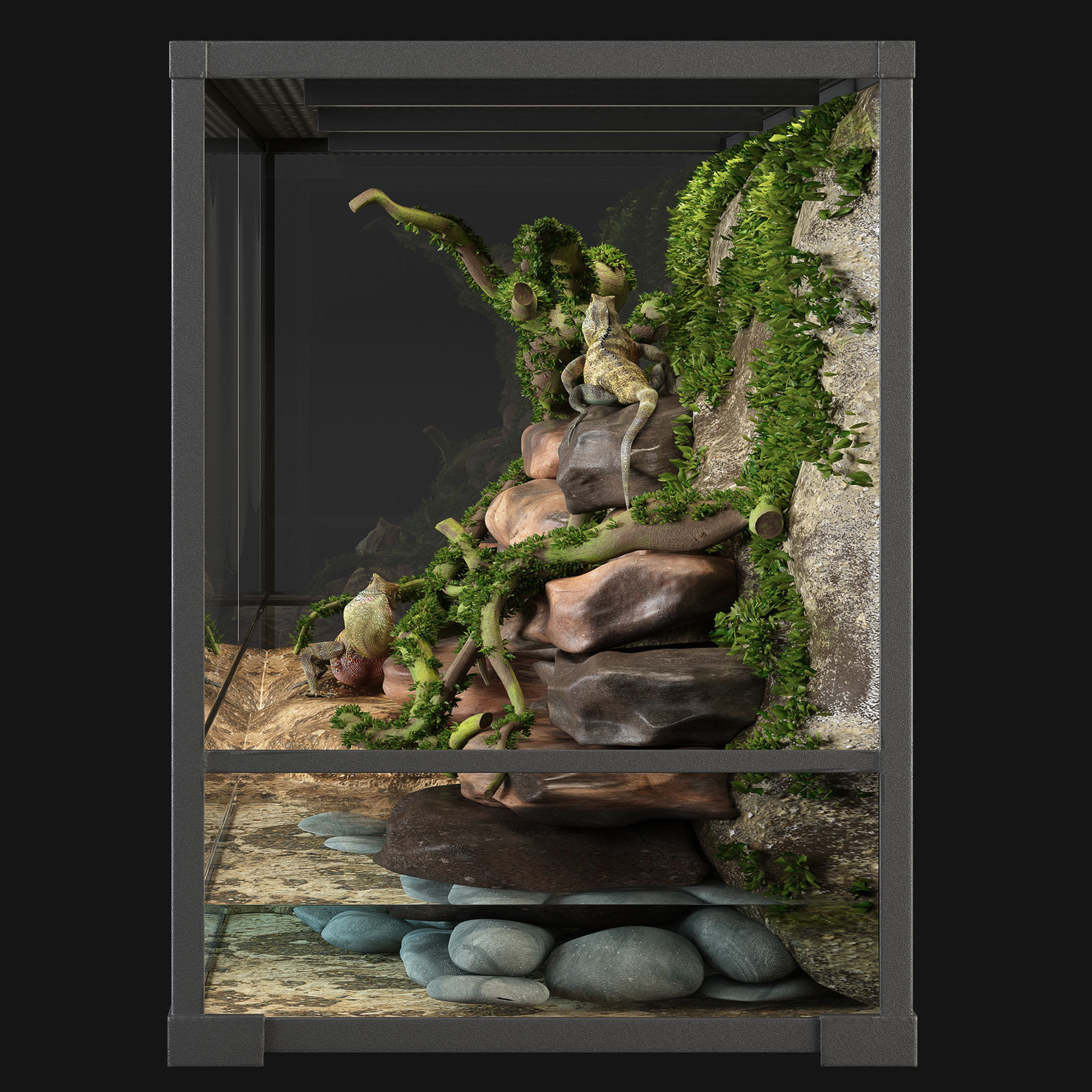Terrarium Agama 3D model_4