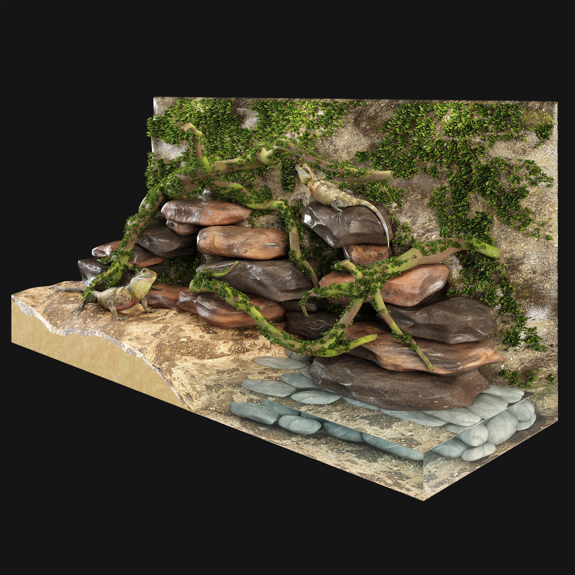 Terrarium Agama 3D model_6