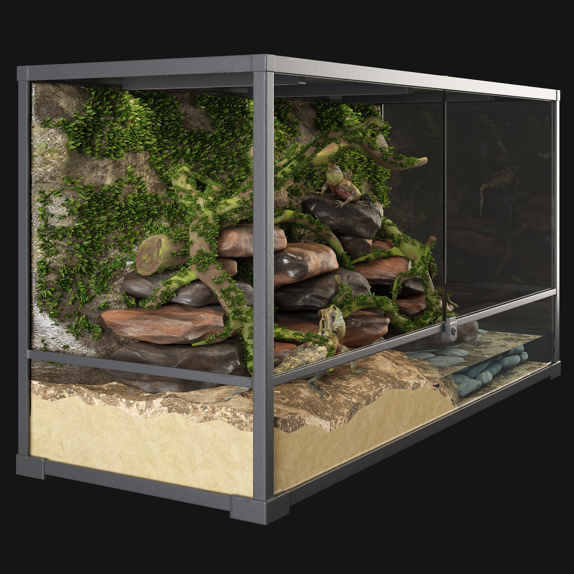 Terrarium Agama 3D model_1