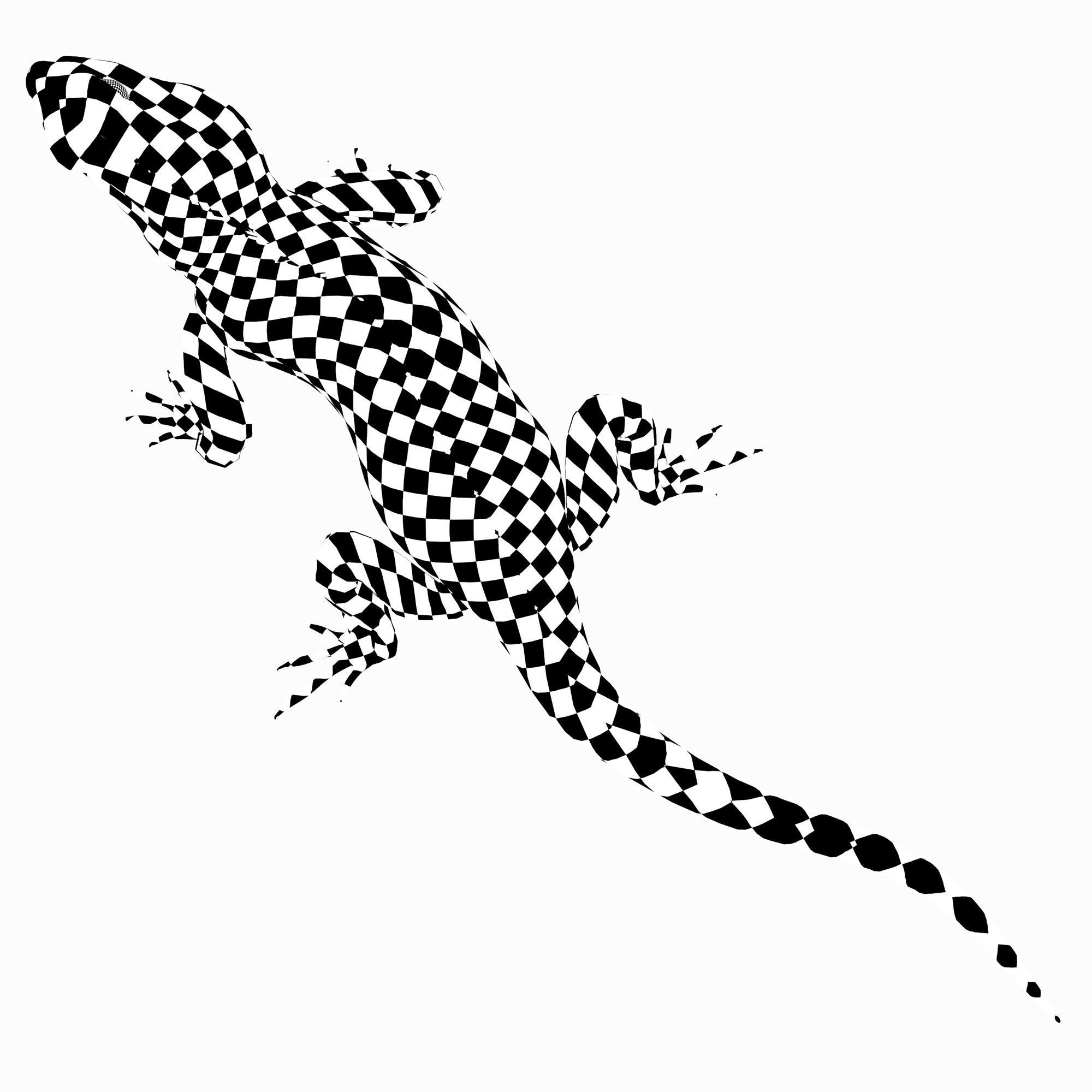 Terrarium Agama 3D model_16