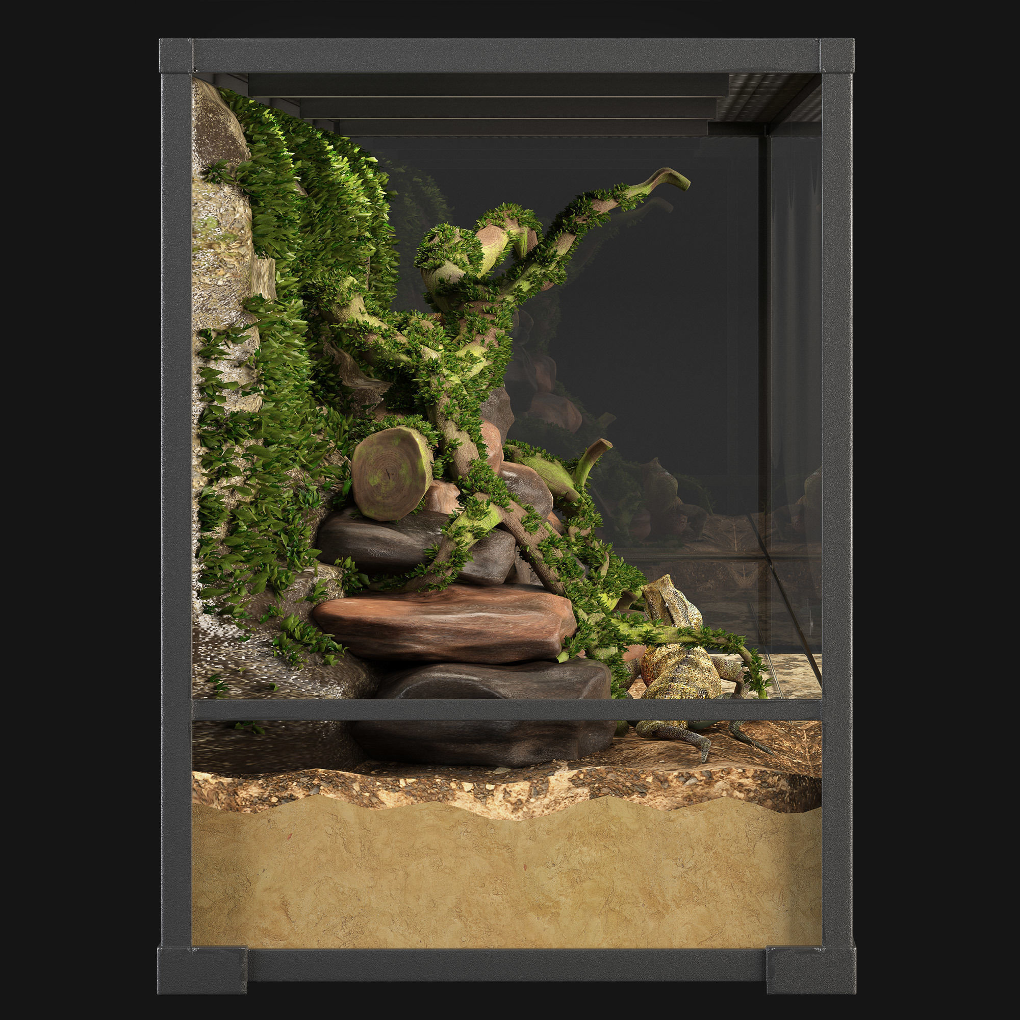 Terrarium Agama 3D model_3