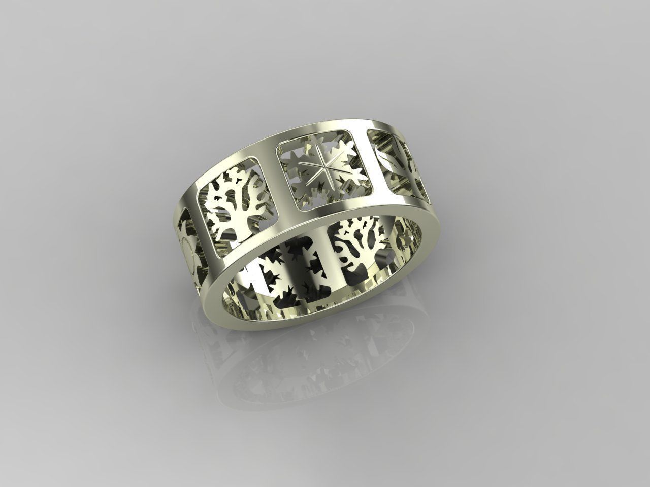 Ring 39 Seasons 3D print model_3