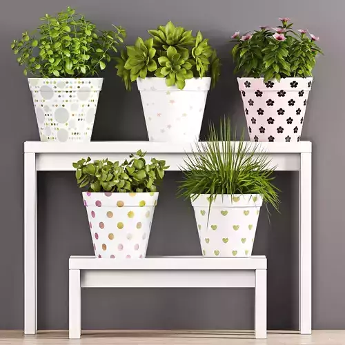 Decorative plant set-63