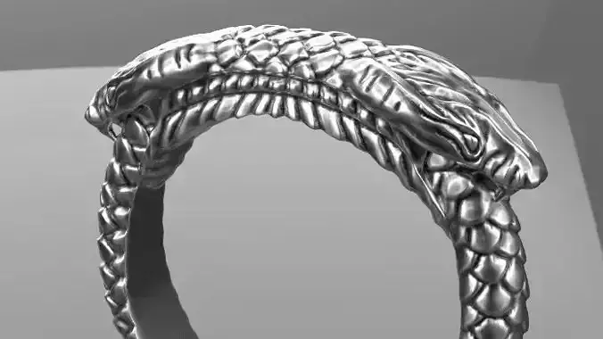 Snake Ring Ouroboros Silver Gold  Print