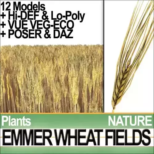 Emmer Wheat Fields Poser DAZ VFX Animation