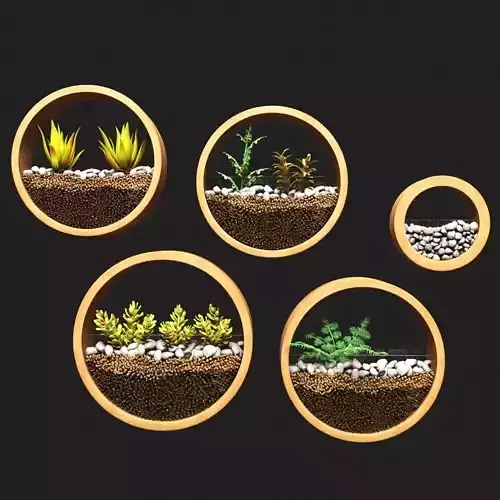 Plant Collection set of pots