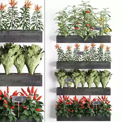 Decorative plants for the kitchen on wooden box 47 3D model