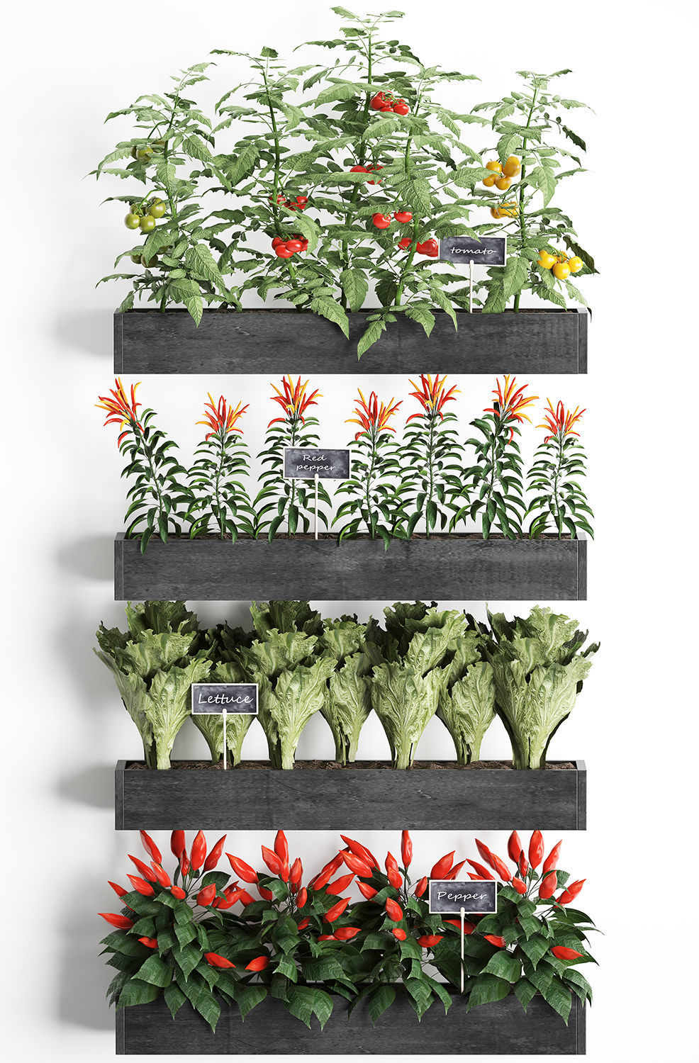 Decorative plants for the kitchen on wooden box 47 3D model_4