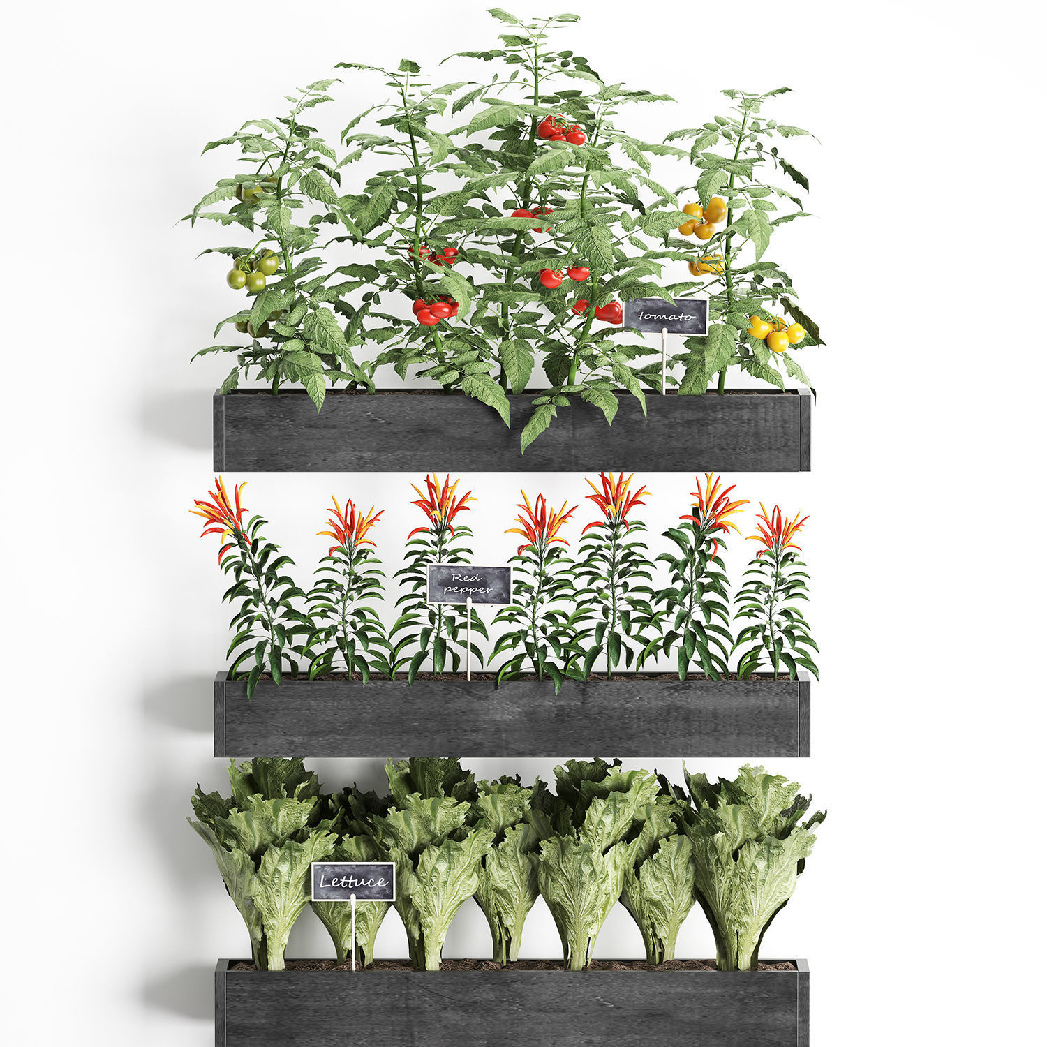 Decorative plants for the kitchen on wooden box 47 3D model_2