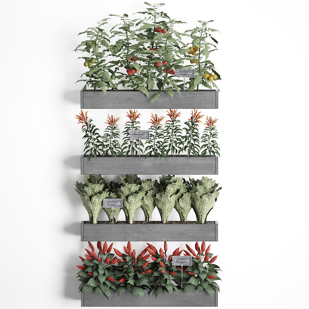 Decorative plants for the kitchen on wooden box 47 3D model_7