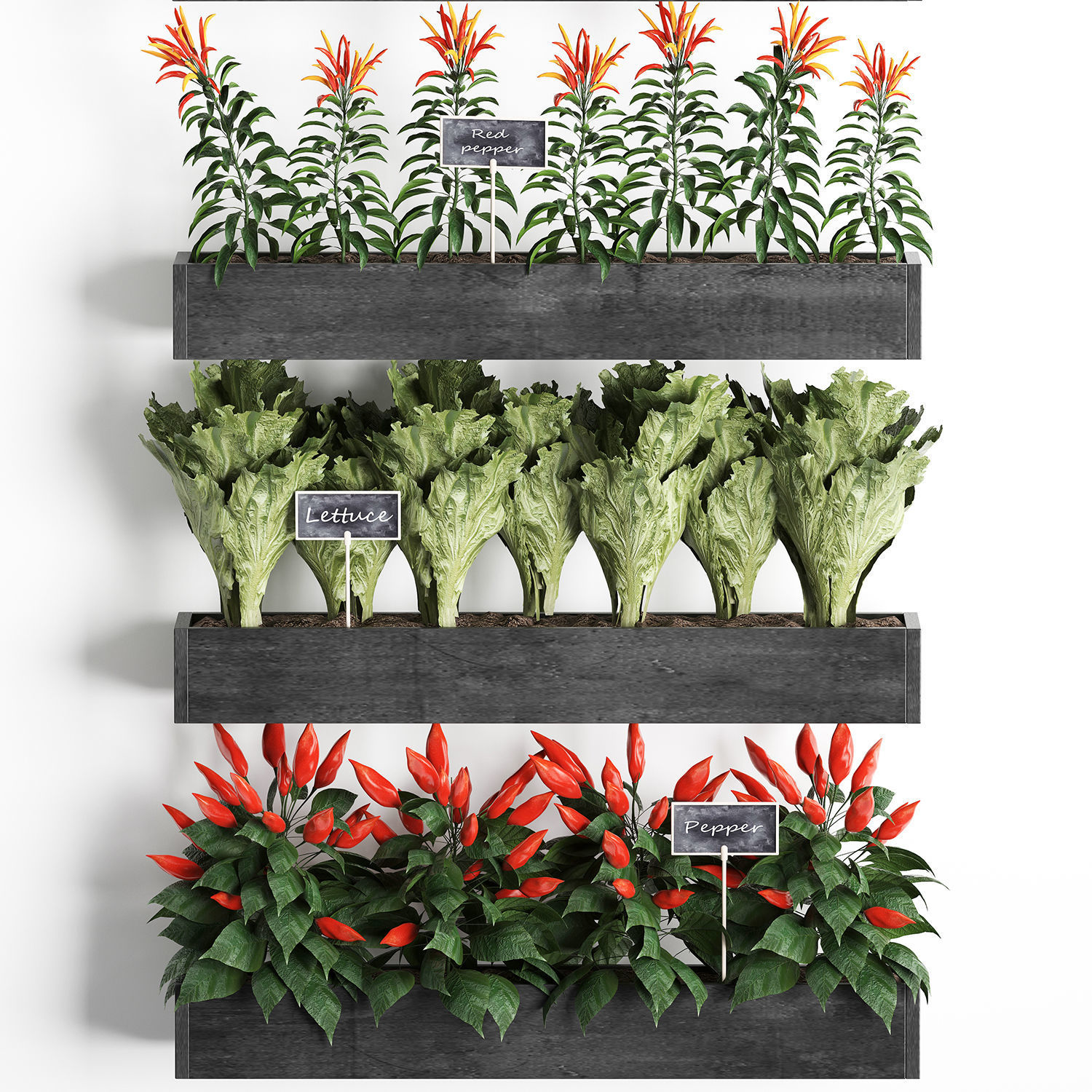 Decorative plants for the kitchen on wooden box 47 3D model_3