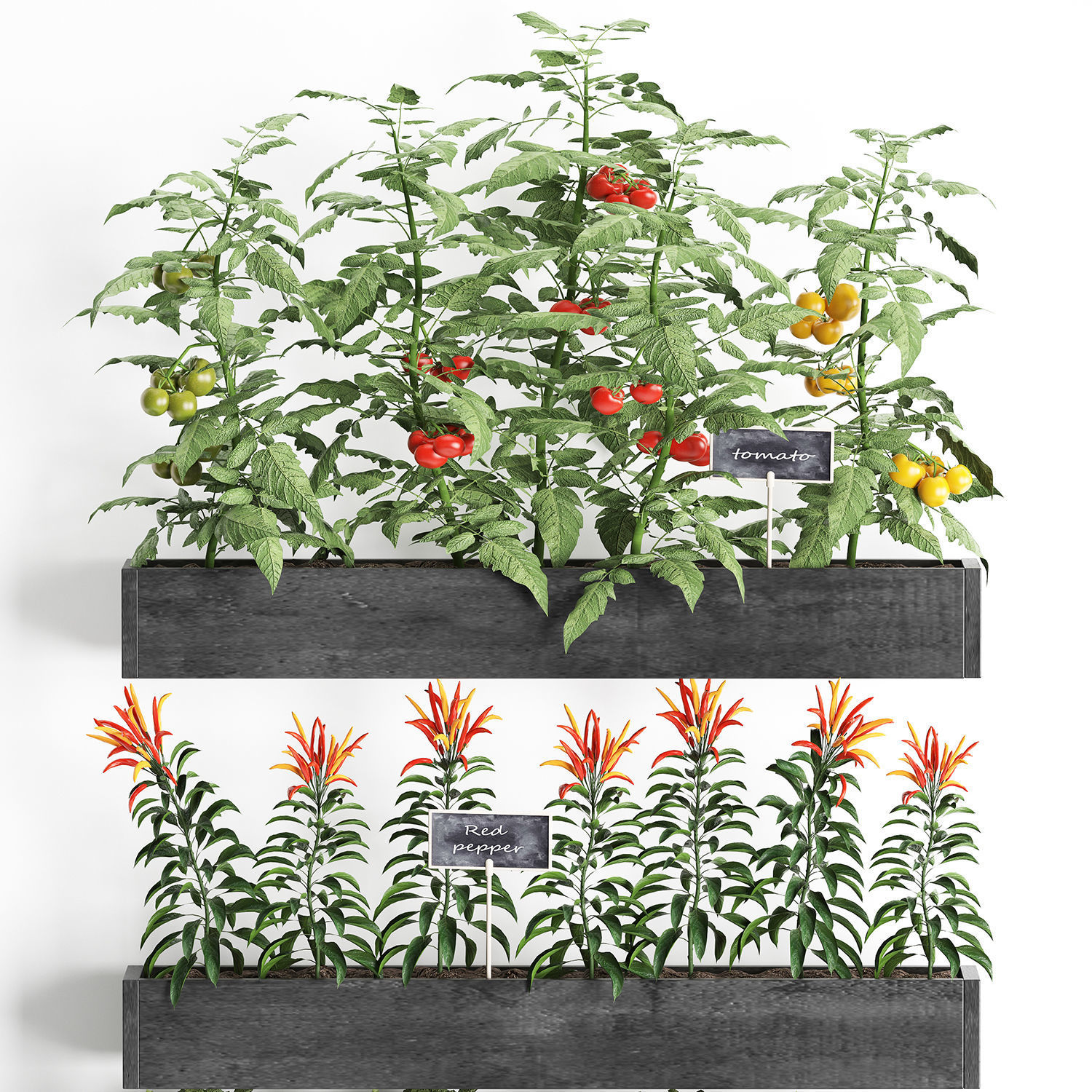 Decorative plants for the kitchen on wooden box 47 3D model_5