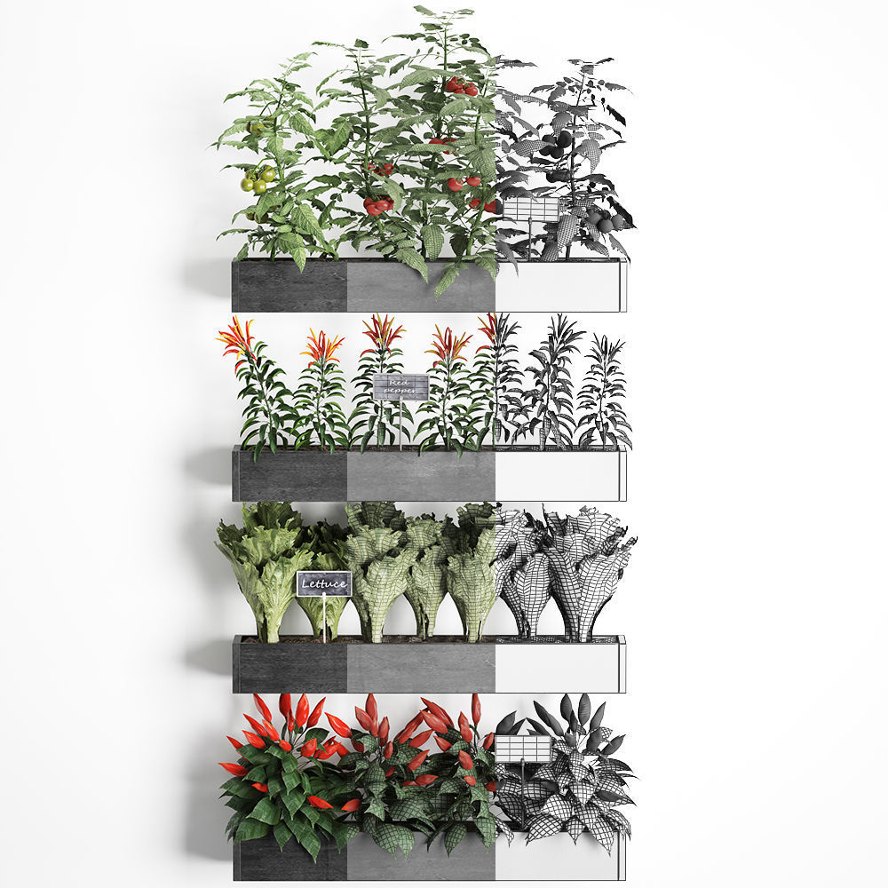 Decorative plants for the kitchen on wooden box 47 3D model_6