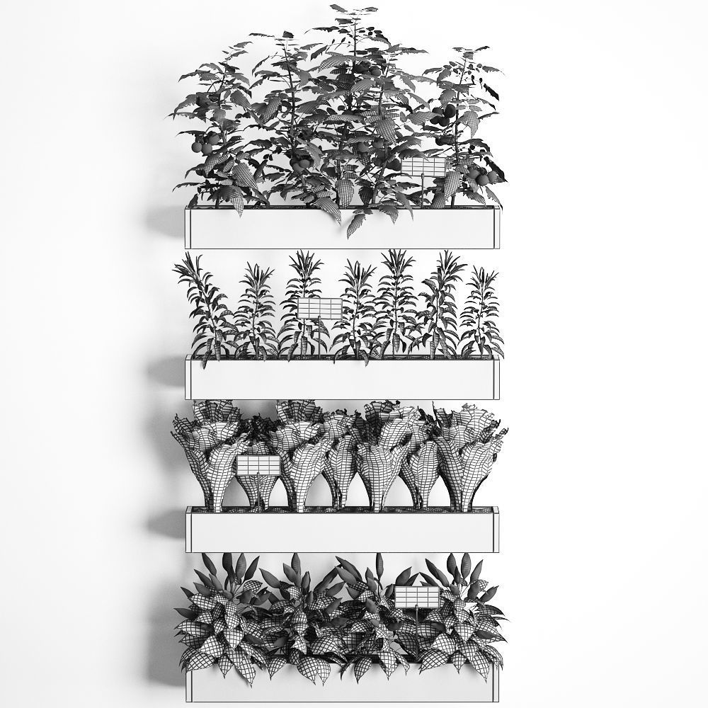 Decorative plants for the kitchen on wooden box 47 3D model_8