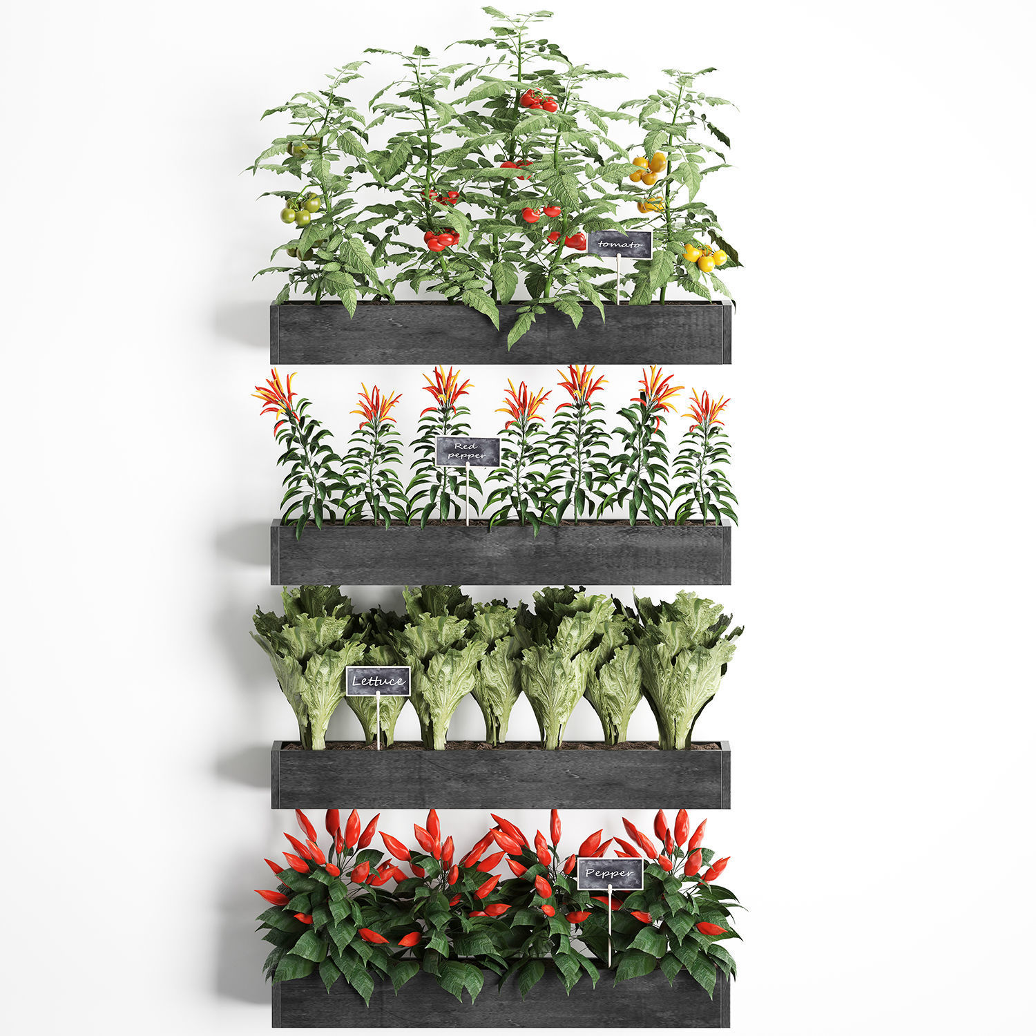 Decorative plants for the kitchen on wooden box 47 3D model_1