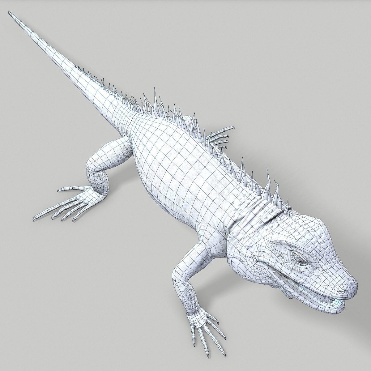 Iguana Blue Low-poly 3D model_14