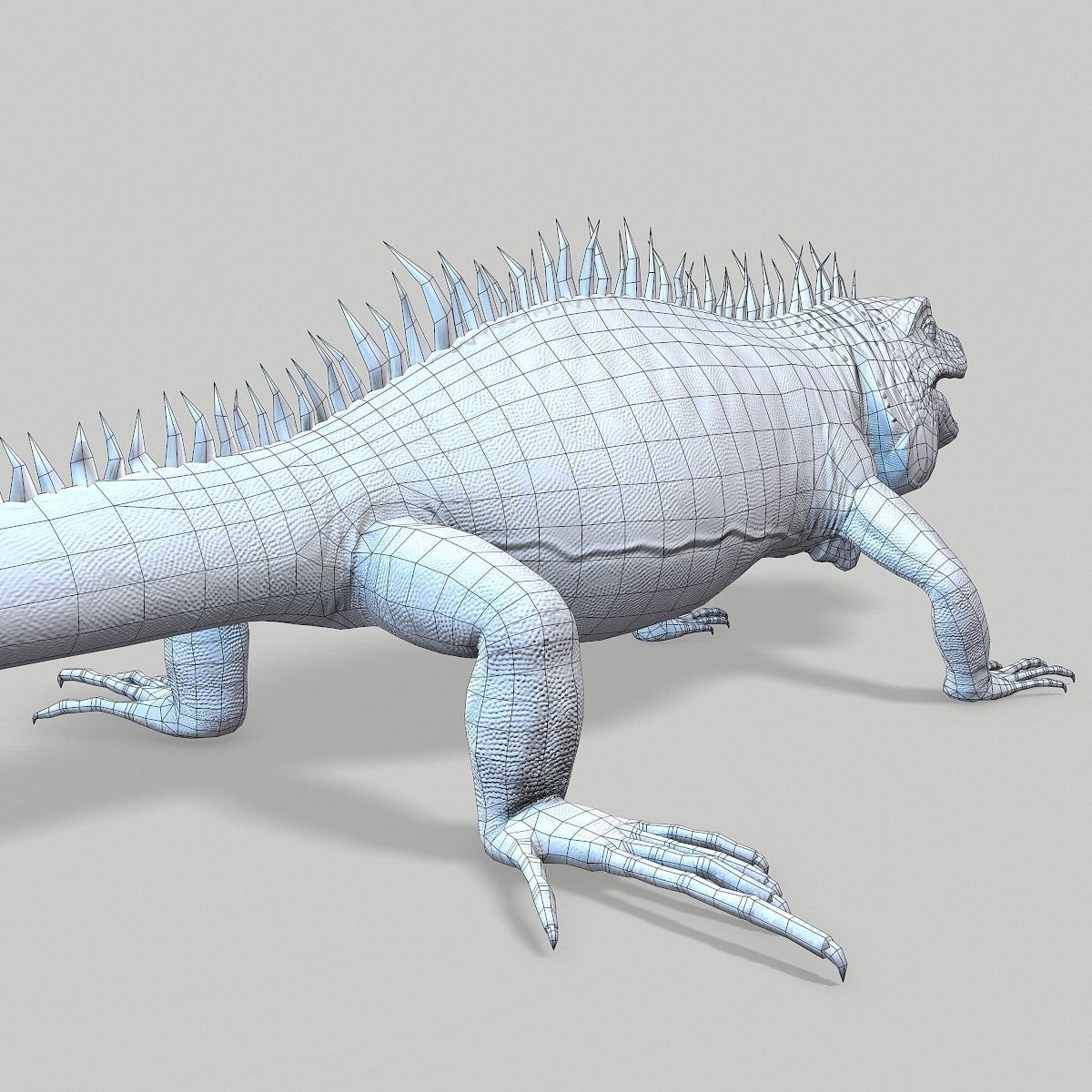 Iguana Blue Low-poly 3D model_15