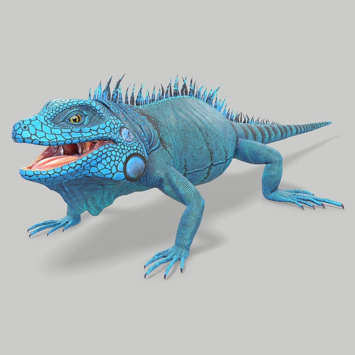 Iguana Blue Low-poly 3D model_1