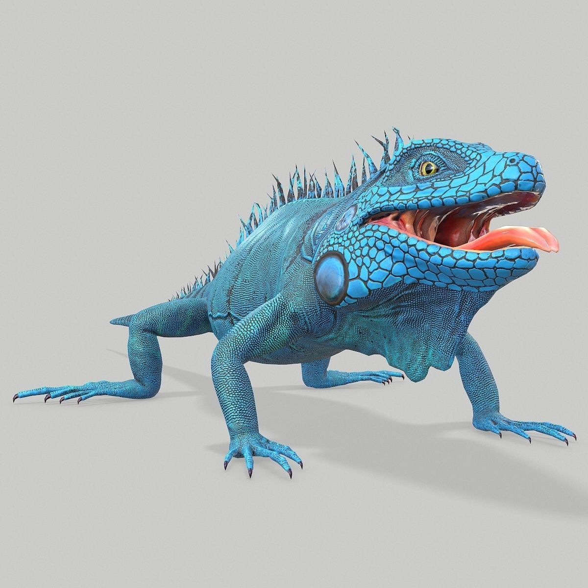 Iguana Blue Low-poly 3D model_2
