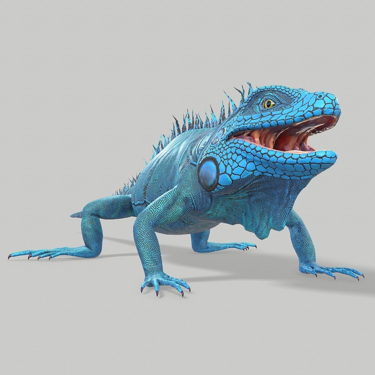 Iguana Blue Low-poly 3D model_3