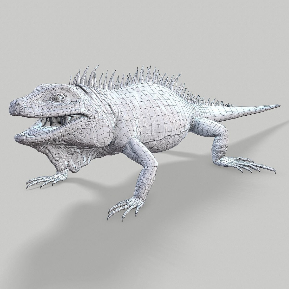 Iguana Blue Low-poly 3D model_12