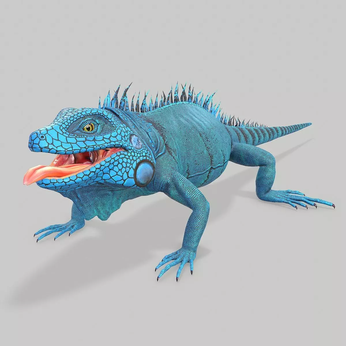 Iguana Blue Low-poly 3D model_0