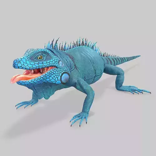 Iguana Blue Low-poly 3D model