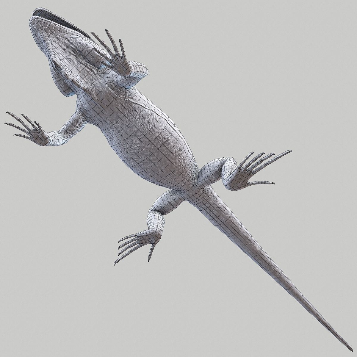 Iguana Blue Low-poly 3D model_16