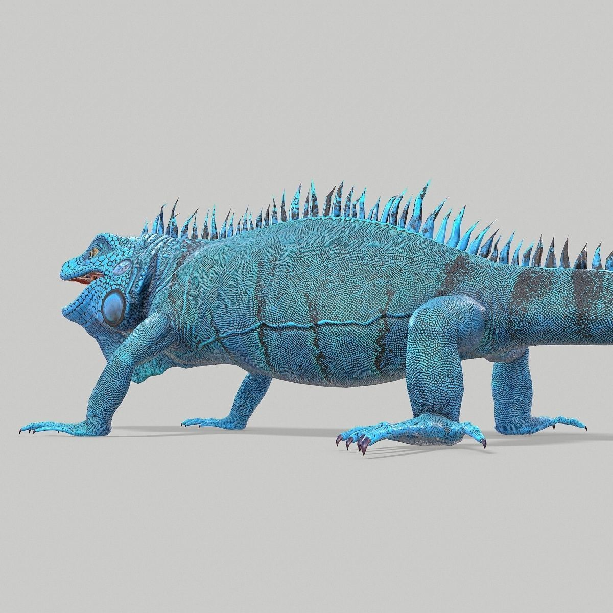 Iguana Blue Low-poly 3D model_8