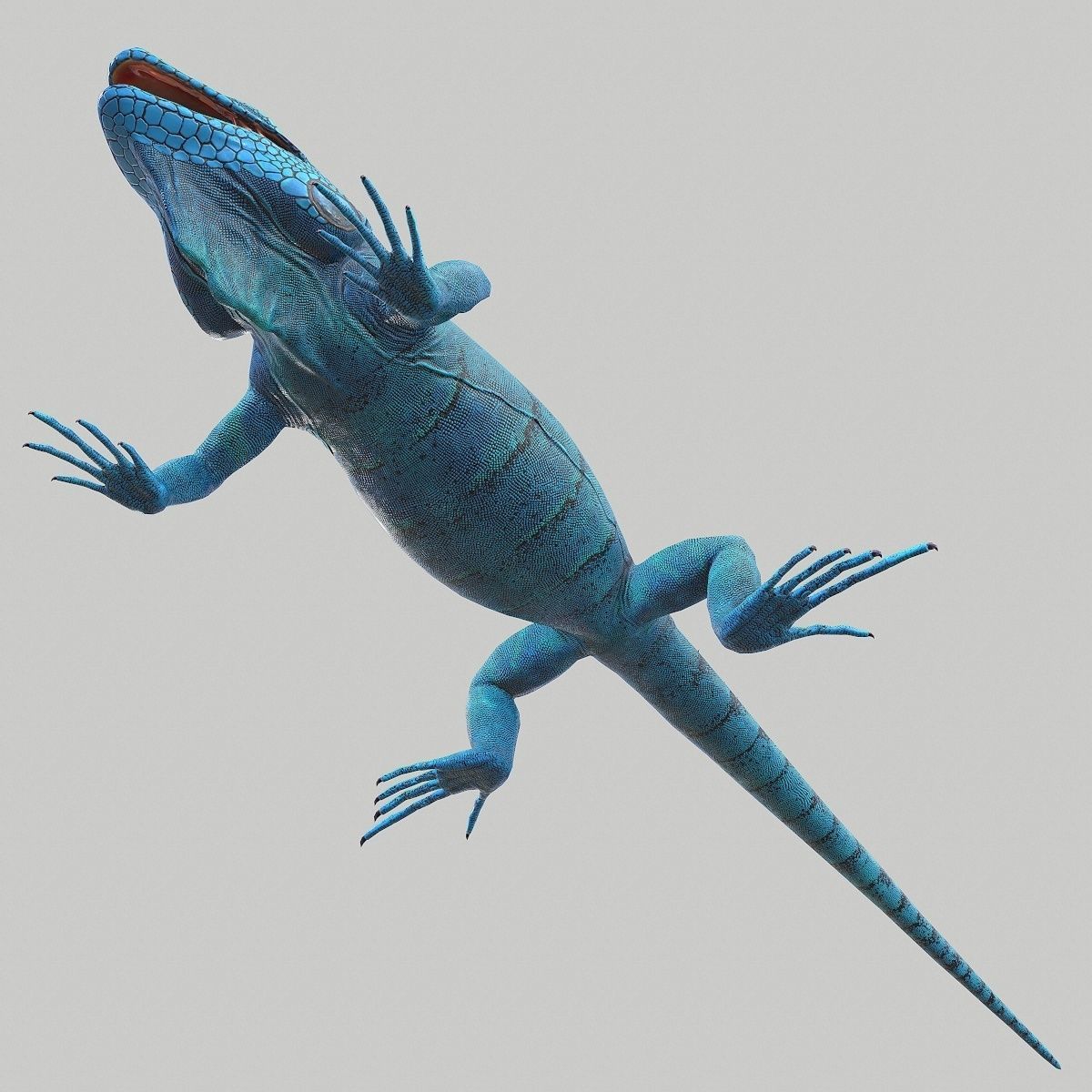 Iguana Blue Low-poly 3D model_9