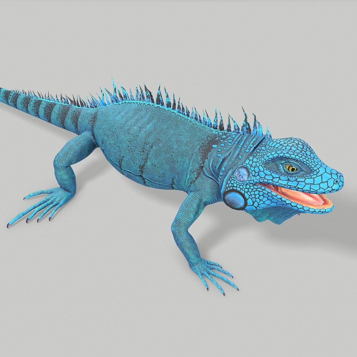Iguana Blue Low-poly 3D model_4