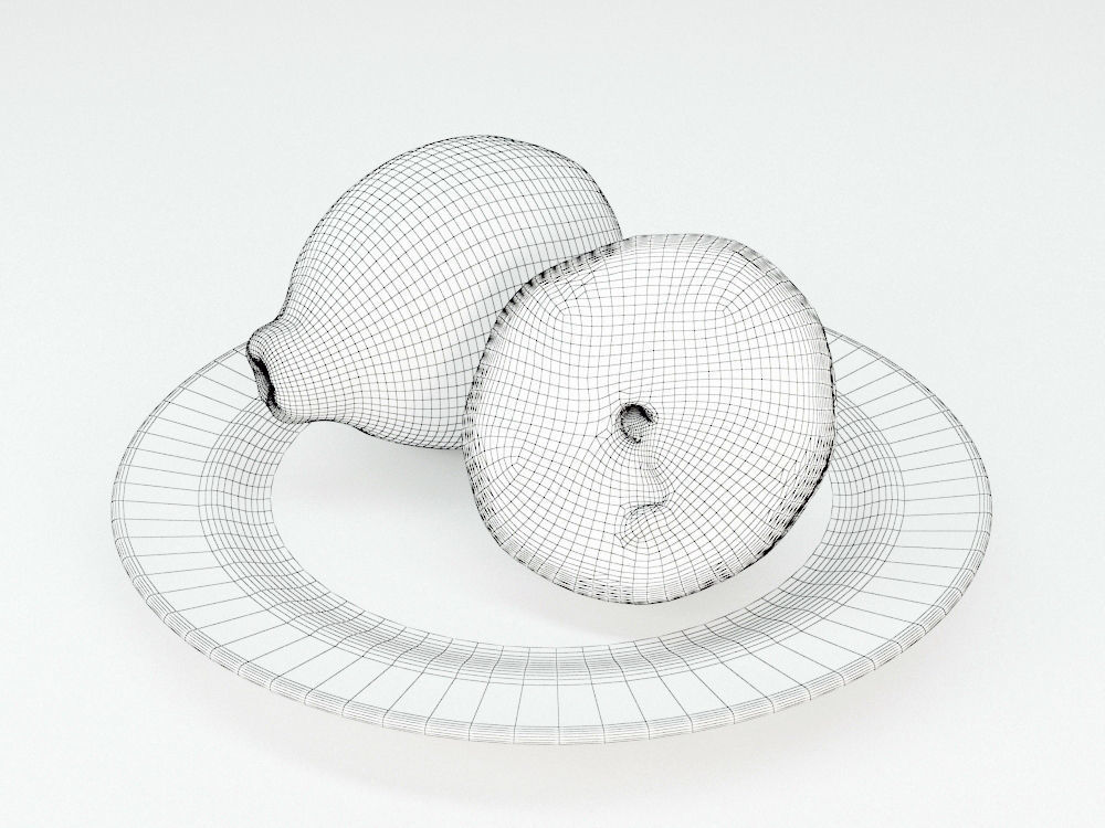 Lemons  3D model_4