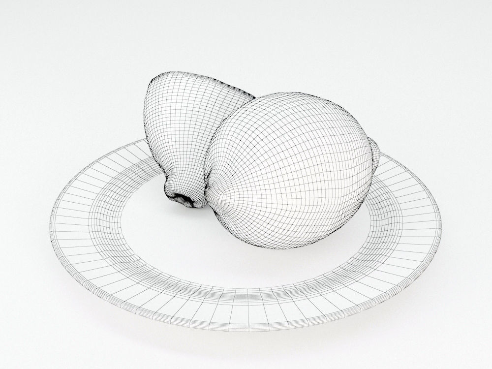Lemons  3D model_6