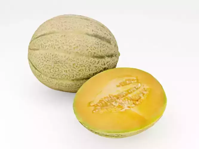 Melons  3D model