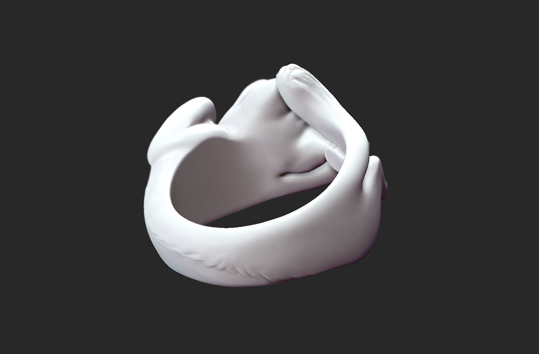 Lazy Cat Ring 3D print model_8