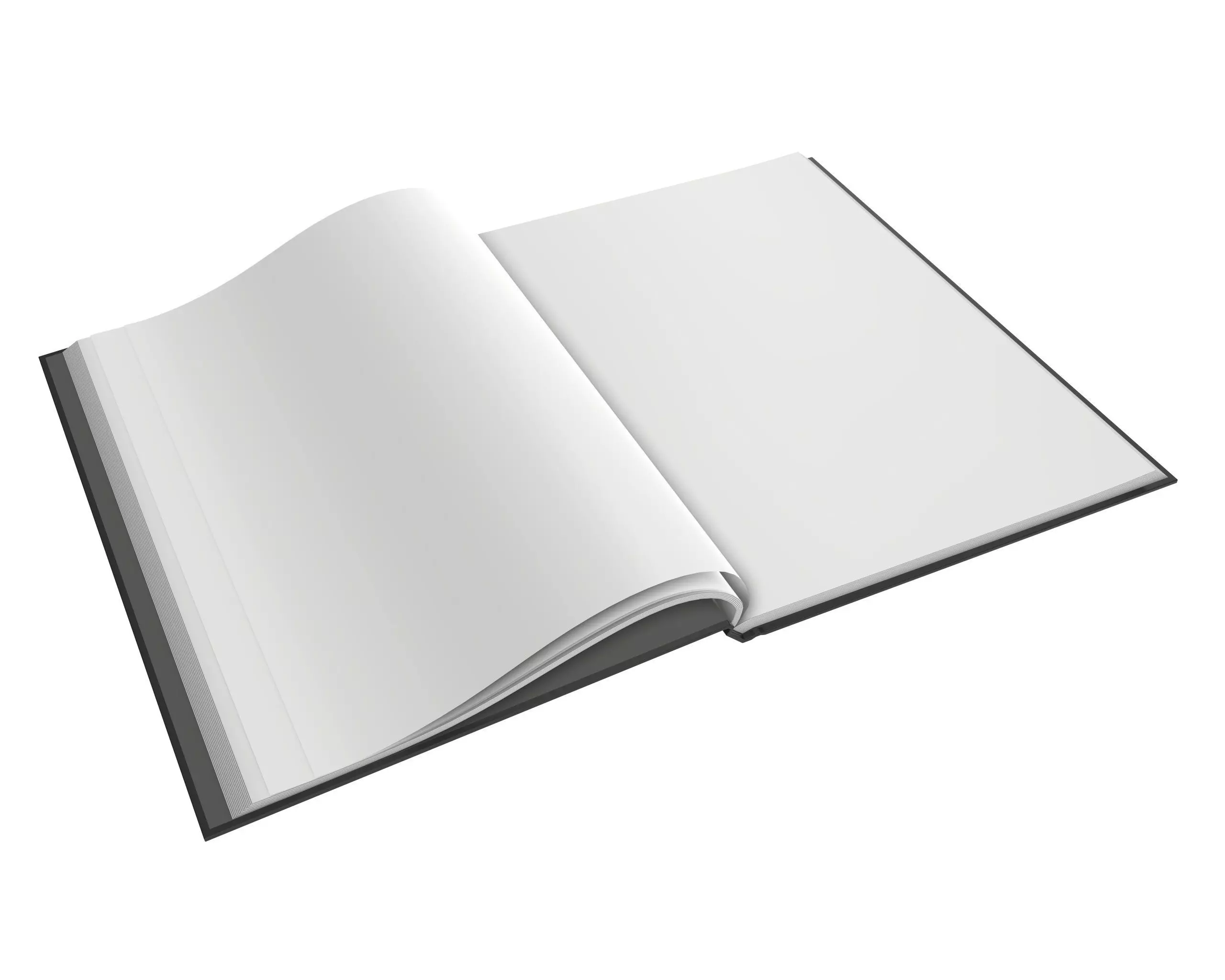 Album opened size A4 01 3D model_0