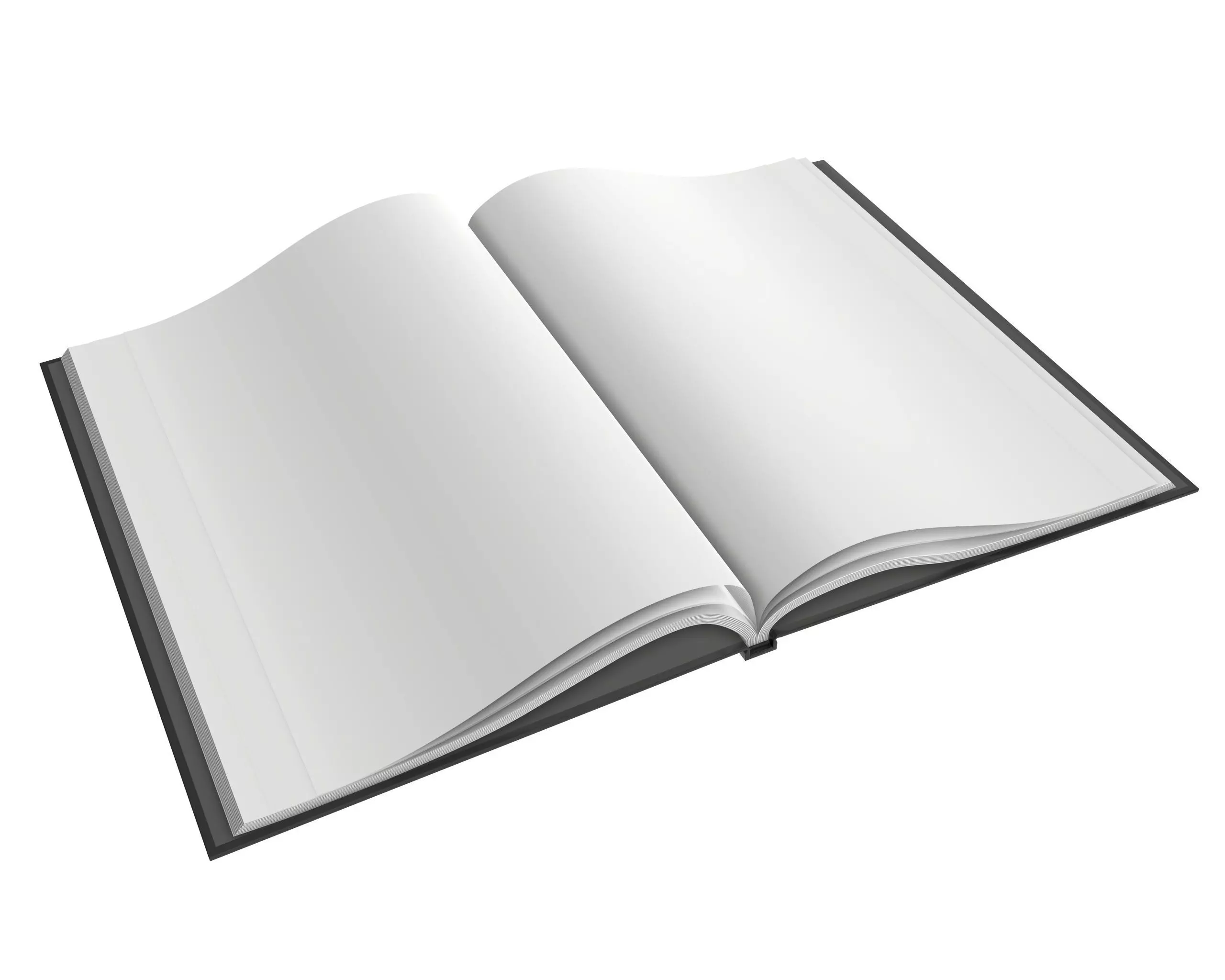 Album opened size A4 02 3D model_0