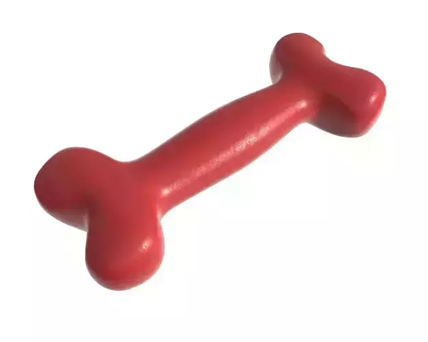 Bone pet toy 3D model