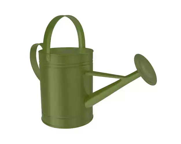 Funny watering can