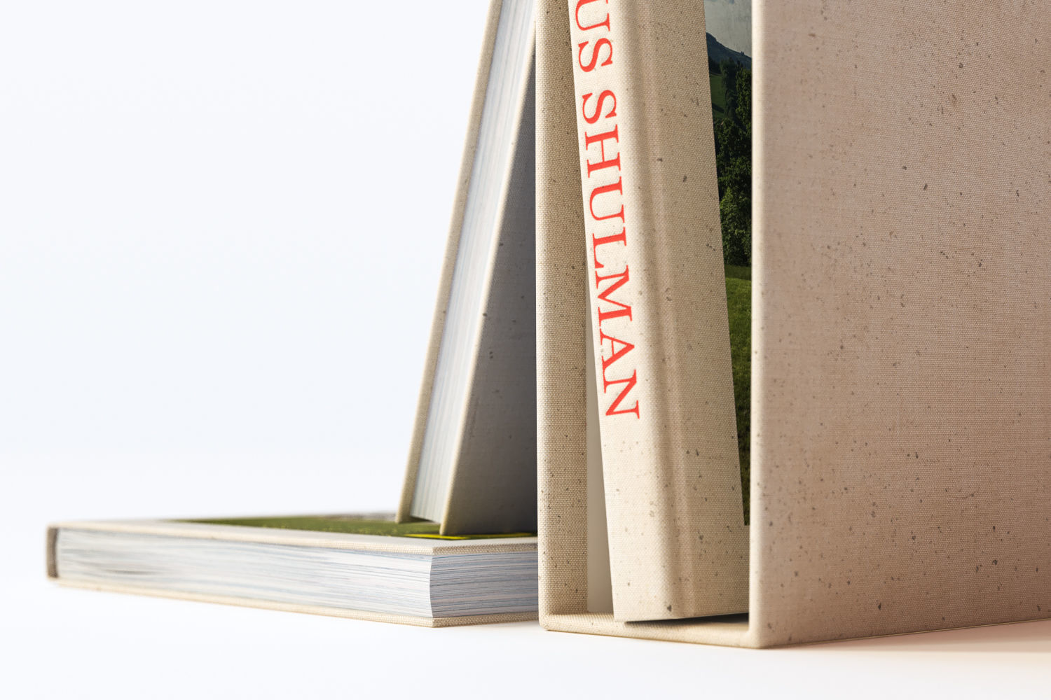 Standing and lying books 3D model_2