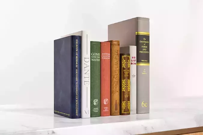 A few standing books 3D model