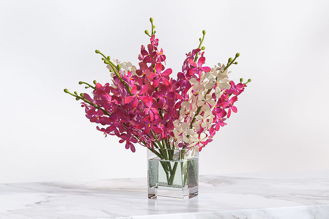 Pink and white flower in a vase 3D model