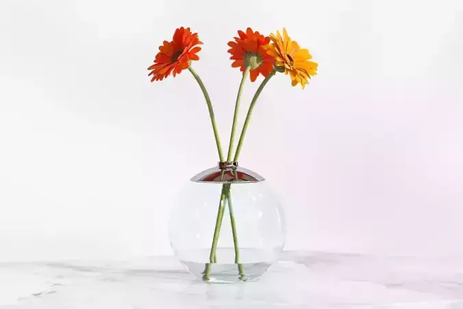 Gerberas in the sphere vase