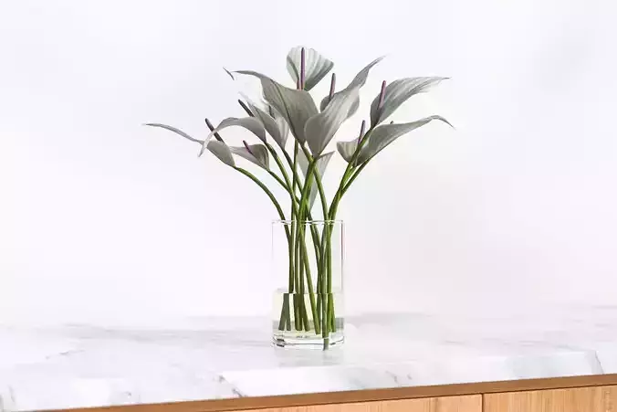White elegent flowers in a glass vase