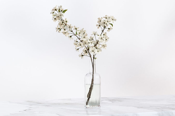 Twig with white flowers in a glass vase 3D model