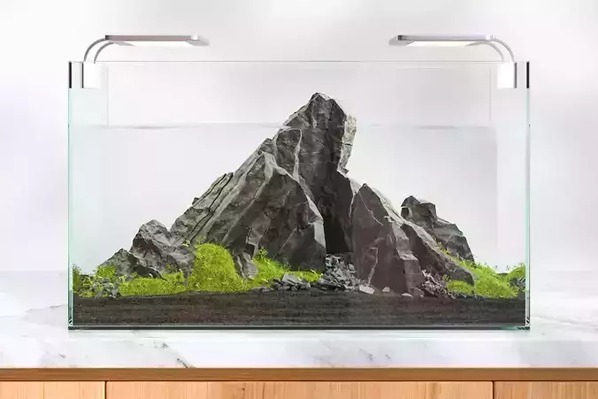 Aquarium decoration made of rocks 3D model